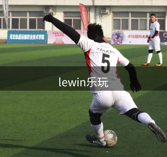 关于lewin乐玩